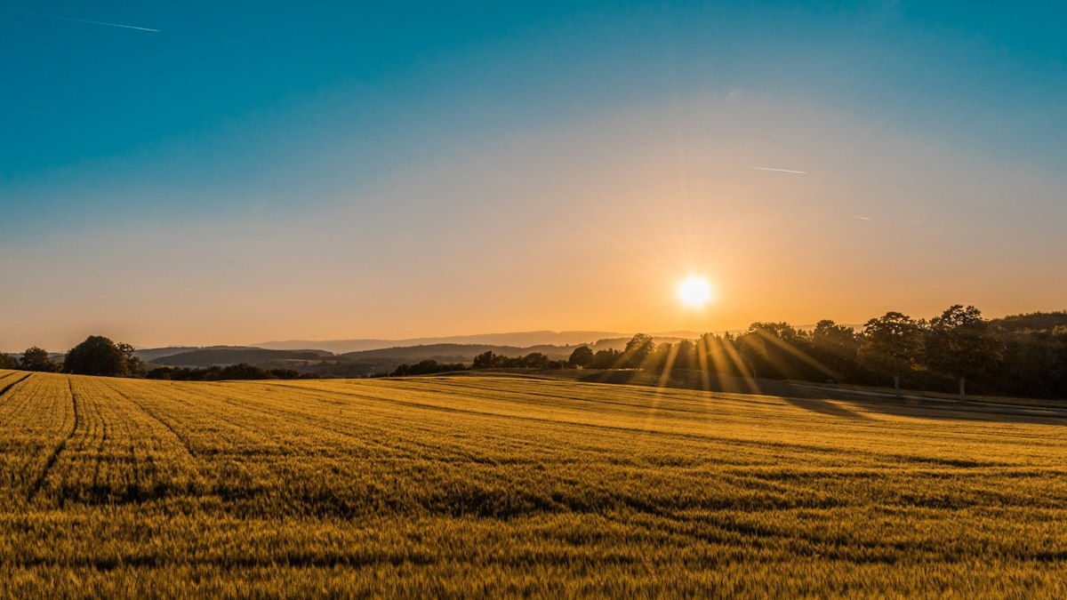 12 Acre Agricultural Farmland
